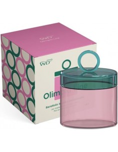 Tarro de Vidrio - Verde y Rosa