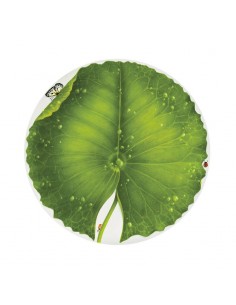 Platón Redondo Freedom