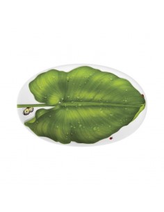 Platón Ovalado Freedom