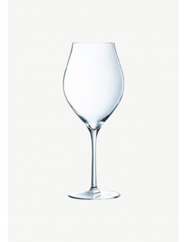 Set de 6 Copas de Vino Exaltation