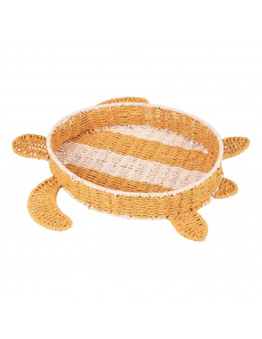 Tortuga Marina Incarta
