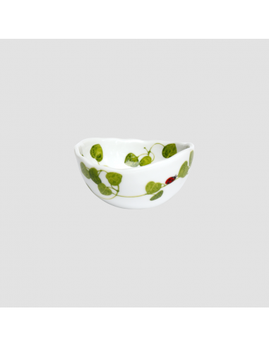 Bowl Garden Of beauty Green