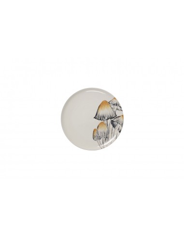 Plato Tornio Coprinus Comatus