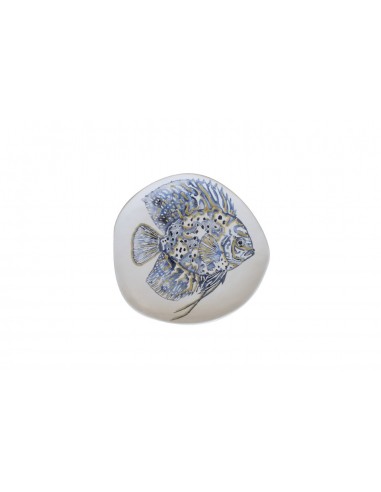 Plato Tondo Serie Libera - Discus Tropicale