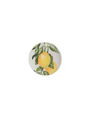 Plato Frutta Tornio - Limoni