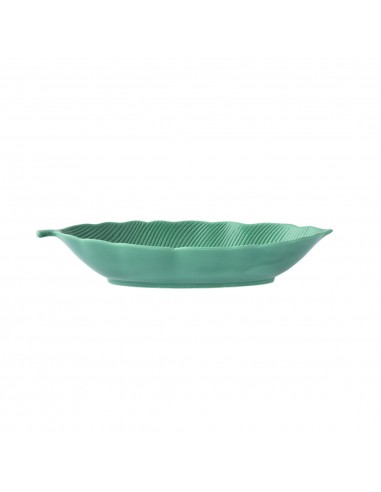 Bowl Tropical Leaf Leaves Light Green