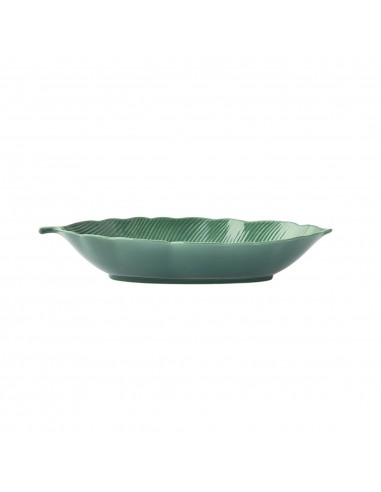 Bowl Tropical Leaf Tropical Leaves Green