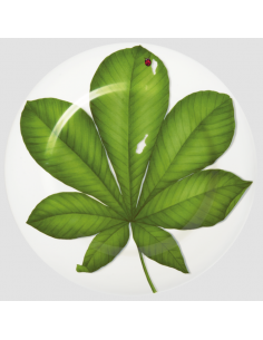 Set de 4 Platos Base Freedom 2