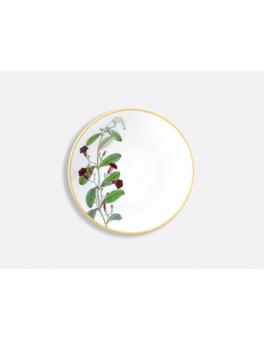 Plato de Pan Jardin Indien