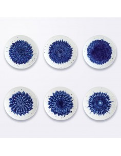 Set de 6 Platos de Postre...