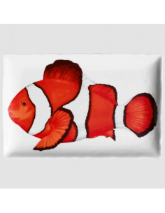 Plato Rectangular Dieta...