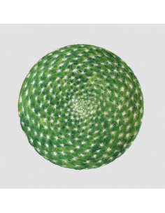 Plato de Postre Cactus