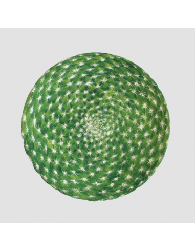 Plato de Postre Cactus