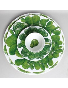 Plato de Postre Cactus 2