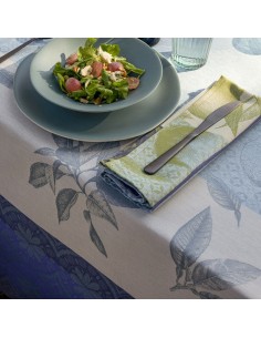 Mantel Arrière - Azul 2