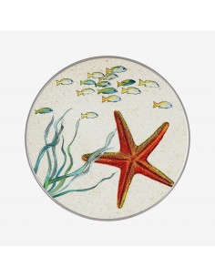 Trébedes Sea Life - Starfish