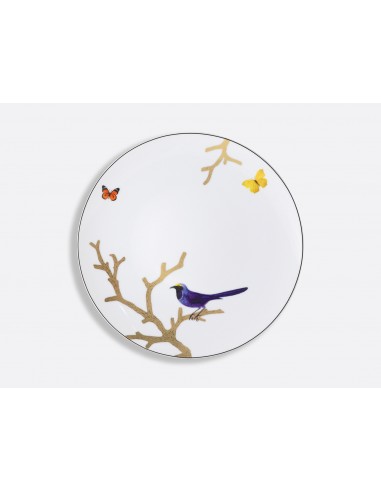 Plato Llano Aux Oiseaux