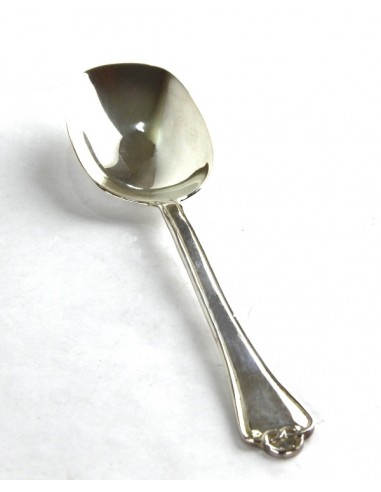Cuchara de Servir