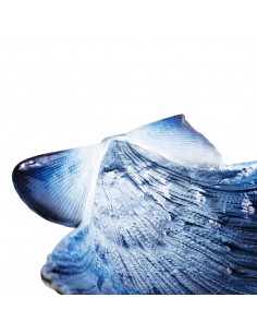 Bowl Ocean Reef Lion's Paw 2