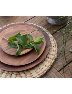 Set de 4 Individuales Clayton 2