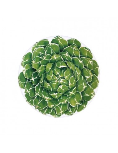 Plato Redondo - Cactus