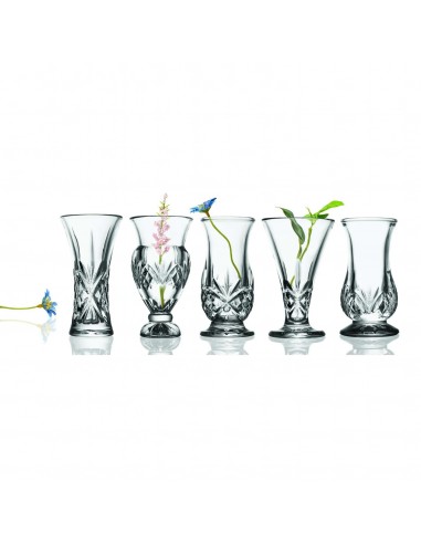 Set de 5 Jarrones Bud