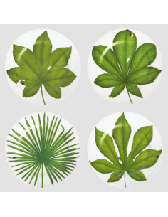 Set de 4 Platos Base Freedom