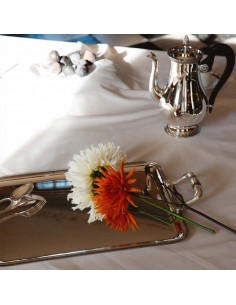 Bandeja Rectangular... 2