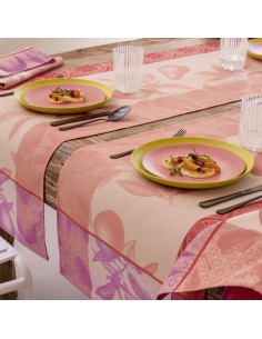 Camino de Mesa Arrière-pays... 2