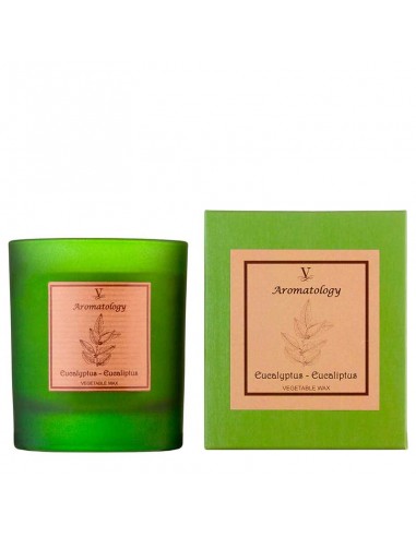 Vela Aromática - Eucalyptus