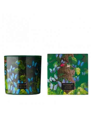 Vela Blue Butterfly - Grande