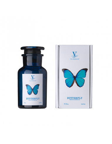 Vela Butterfly