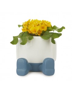 Maceta Mr.Sitty azul 2