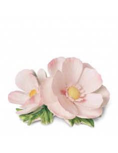 Ramo de Flores Cosmos - Rosa