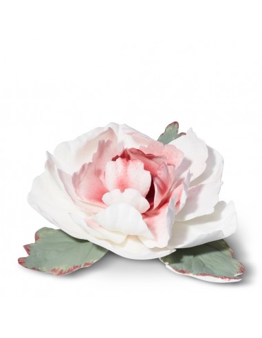 Peonia de Porcelana