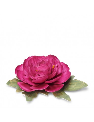 Flor de Porcelana Bloom - Berry