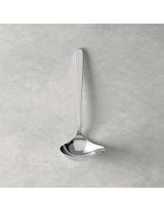 Cucharón para Salsa Daily Line