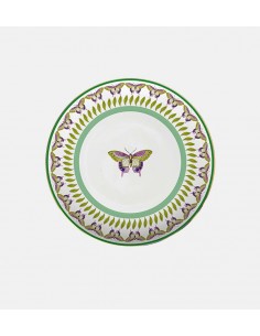 Plato Llano - Amazzonia