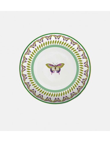 Plato Llano - Amazzonia