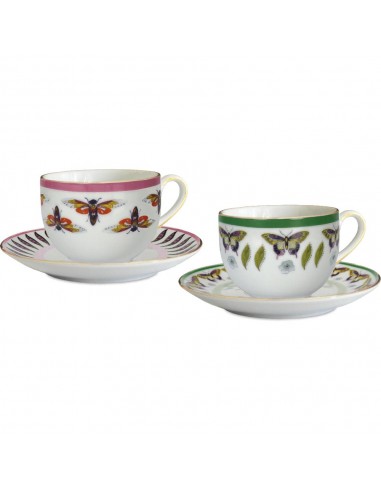 Set de 2 Tazas de Té Amazzonia