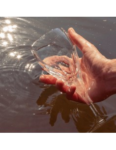 Copa de Agua Longchamp 2