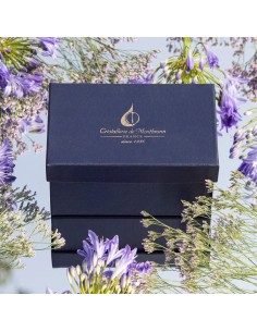 Copa de Vino Toccata 2