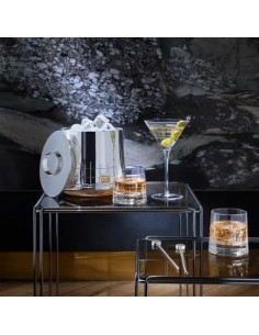 Cubeta De Hielo Isoterma... 2