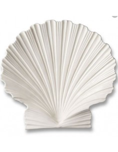 Platón Concha Grande