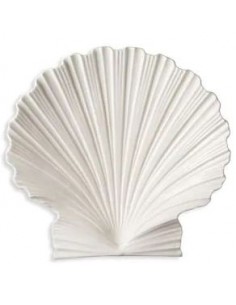 Platón Concha Mediano