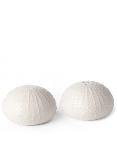 Set de Sal y Pimienta Erizo de Mar