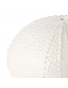 Set de Sal y Pimienta Erizo... 2