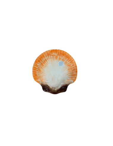 Ensaladera Concha - Dreamy Orange