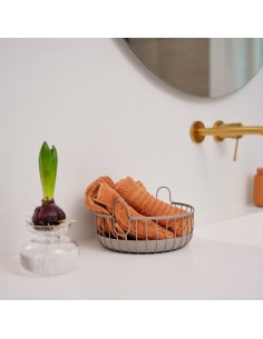 Florero Inu - Pure Clear 2